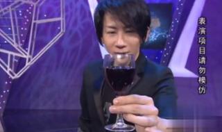 2013年春晚刘谦魔术 2013年春晚刘谦魔术